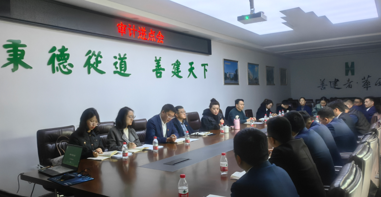 公司黨委委員、紀委書記付曉一行到綿陽青義項目督導(dǎo)復(fù)工復(fù)產(chǎn)工作